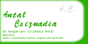 antal csizmadia business card